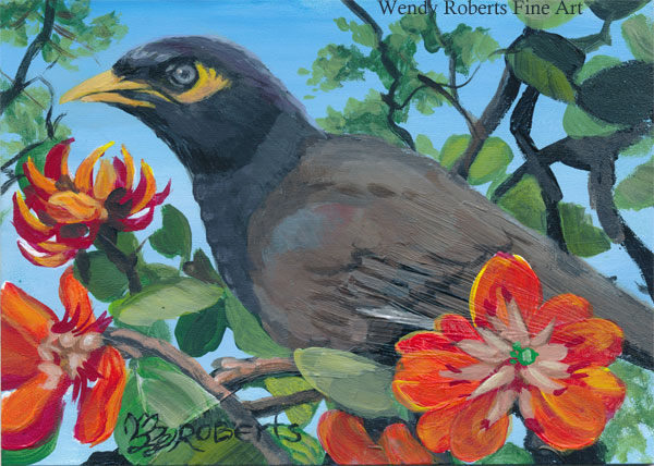 Mynah Bird in a Coral Tree by Wendy Roberts