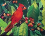 Cardinal in a Coffee Tree