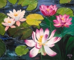 Lotuses & Lilies