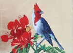 Red Crested Cardinal with Poinciana Flowers
