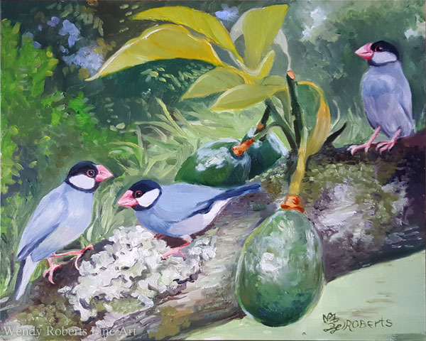 Java Sparrows in an Avocado Tree by Wendy Roberts
