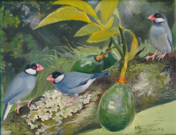 Java Sparrows in an Avocado Tree by Wendy Roberts