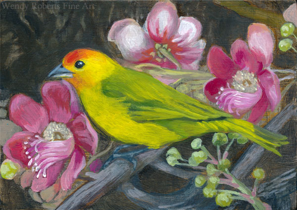 Saffron Finch in a Cannonball Tree by Wendy Roberts