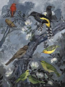 The Lost Forest of O'ahu: 6 species of extinct birds that lived exclusively on Oahu in the past.