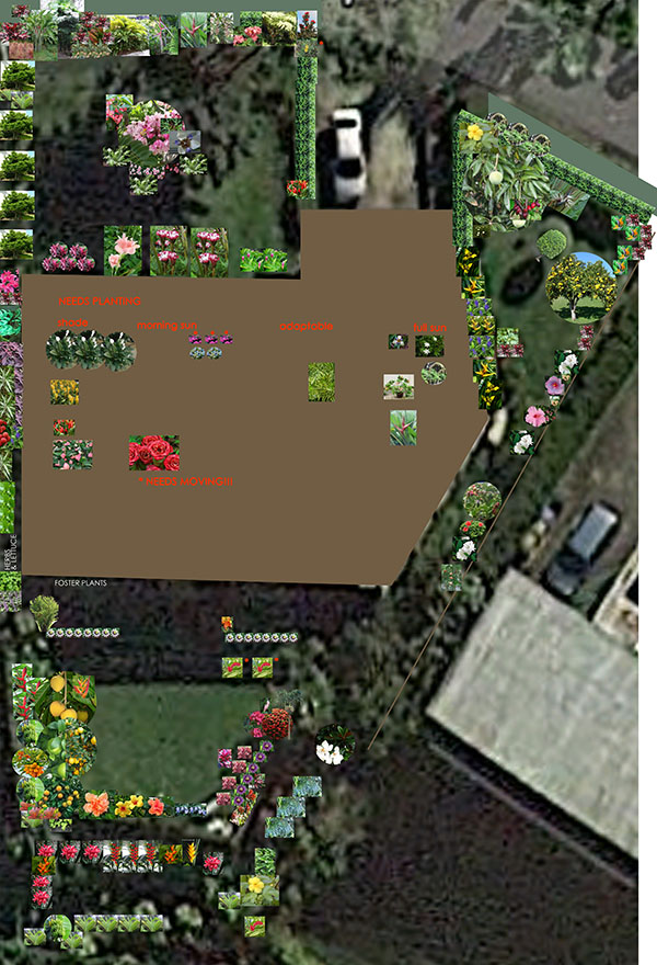 Aerial plan of my garden made in Photoshop