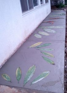 Ti leaves in cement